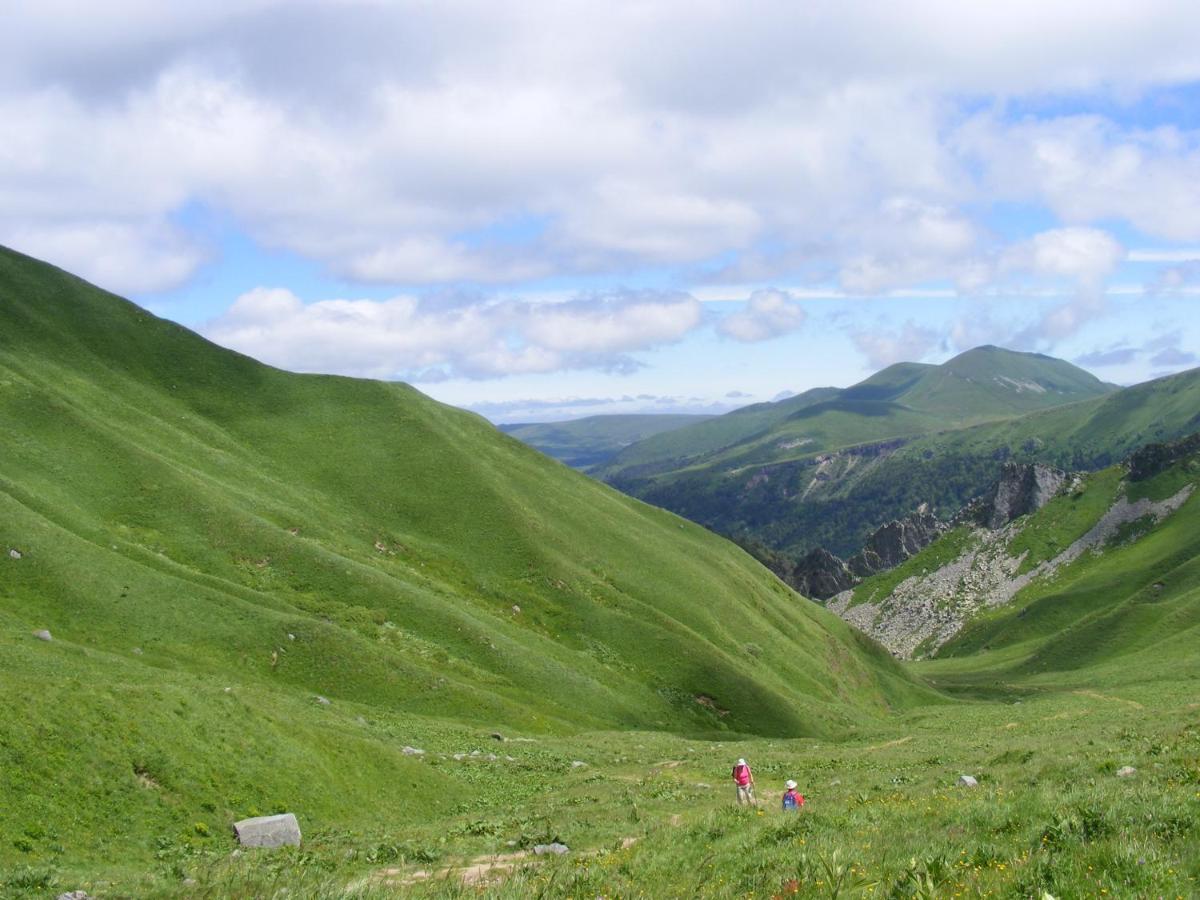 Logis Las Crozas La Cocotte Vernines Dış mekan fotoğraf