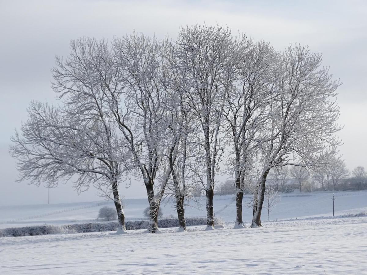 Logis Las Crozas La Cocotte Vernines Dış mekan fotoğraf